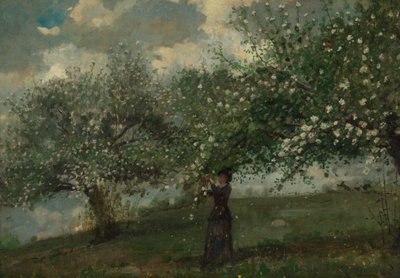 Mädchen pflückt Apfelblüten von Winslow Homer