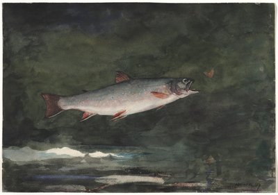 Springende Forelle, 1889 von Winslow Homer