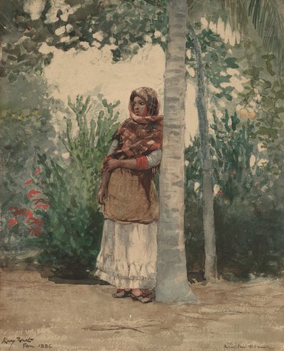 Unter einer Palme von Winslow Homer