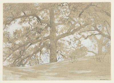 Waverly Oaks von Winslow Homer