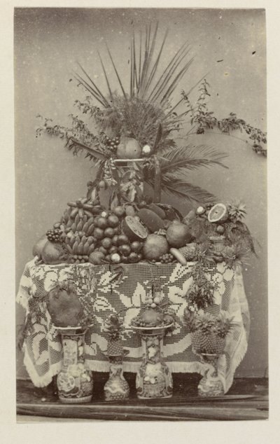 Stillleben mit tropischen Früchten von Woodbury and Page