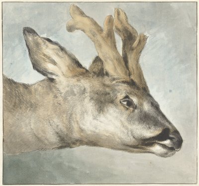 Kopf eines Rehbocks von Wybrand Hendriks