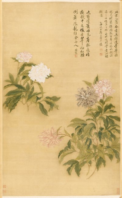 Pfingstrosen von Shouping Yun