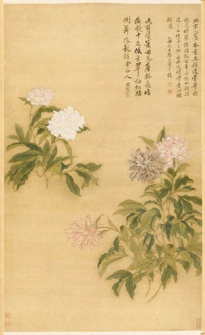 Pfingstrosen, 1685 von Shouping Yun