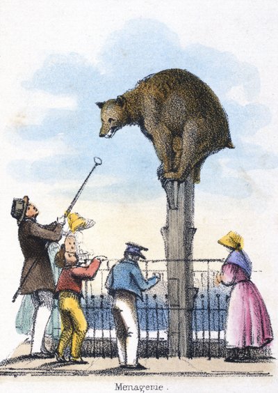 Menagerie, um 1845 von Frederick (attr. to) Barnard