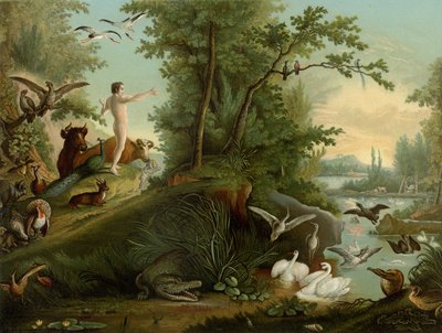 Adam im Paradies von Johann Elias Ridinger or Riedinger