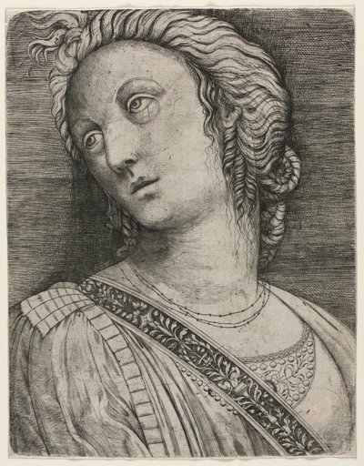Büste einer Frau von attributed to Jacopo de