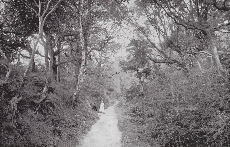 Fairlight Glen von (after) English photographer