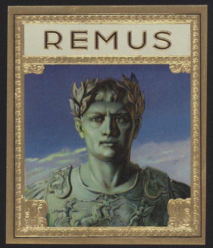 Remus von American School