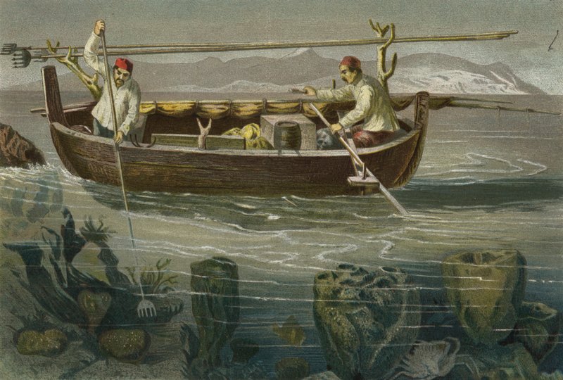 Schwammfischerei an der dalmatinischen Küste von European School