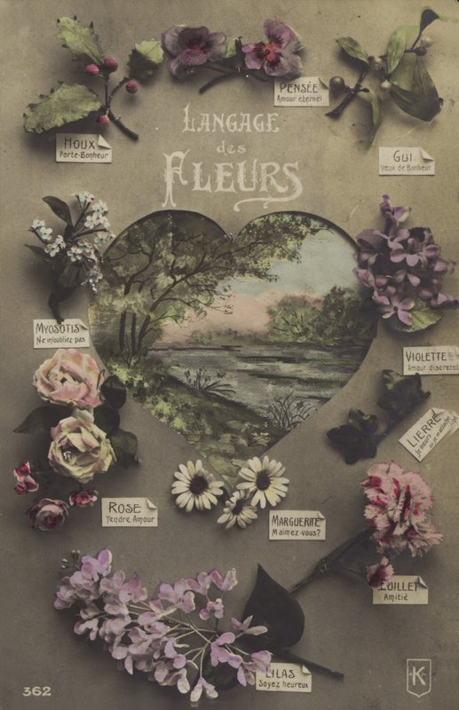 Die Sprache der Blumen von French Photographer