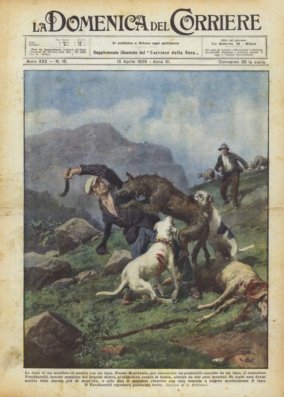 Der Kampf eines Kriegsversehrten mit einem Wolf von Achille Beltrame