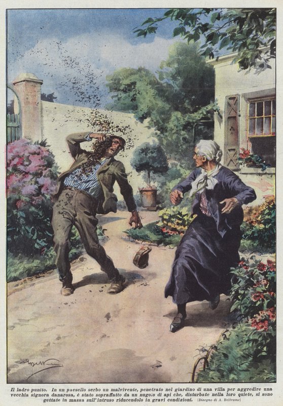 Der bestrafte Dieb von Achille Beltrame