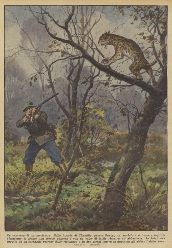 Die Überraschung eines Jägers von Achille Beltrame