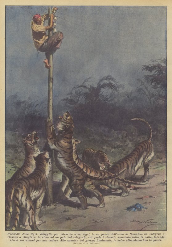Die Belagerung der Tiger von Achille Beltrame