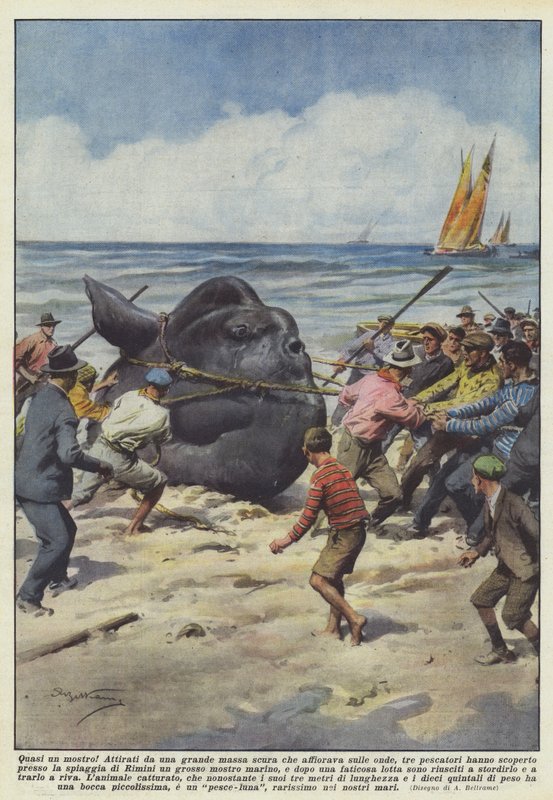 Fast ein Monster! von Achille Beltrame