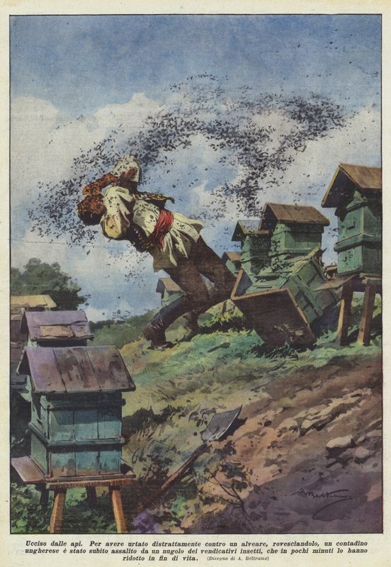 Von Bienen getötet von Achille Beltrame