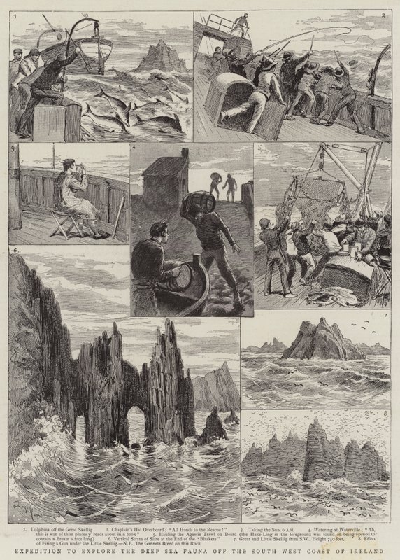 Expedition zur Erforschung der Tiefseefauna vor der Südwestküste Irlands von Adrien Emmanuel Marie