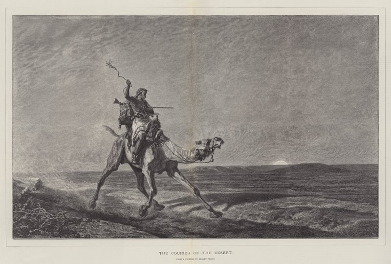 Der Kurier der Wüste von Alberto Pasini