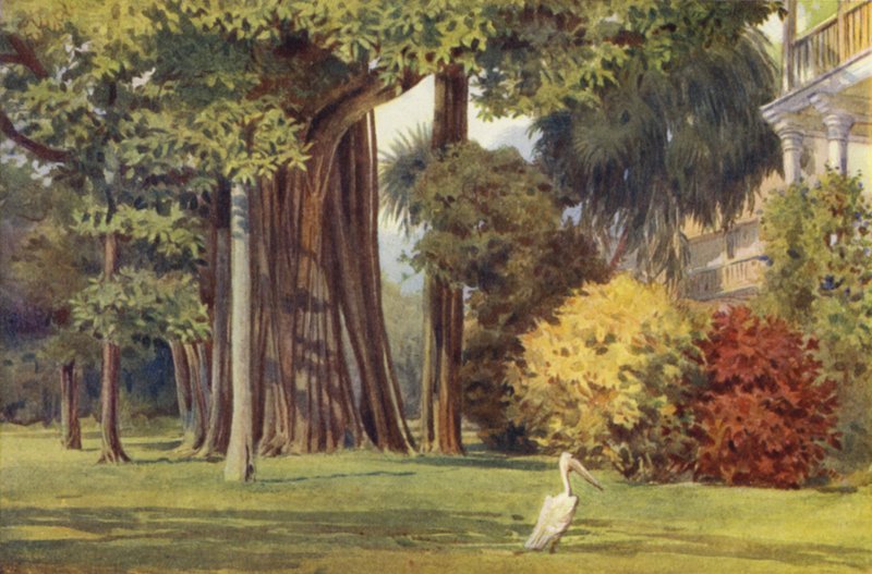 Das Königinnenhaus, Colombo von Alexander Henry Hallam Murray