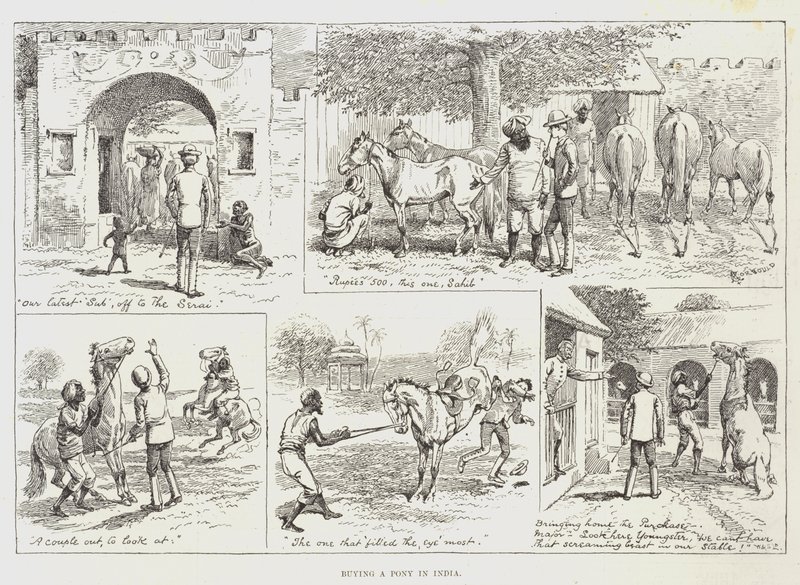 Ponykauf in Indien von Alfred Courbould