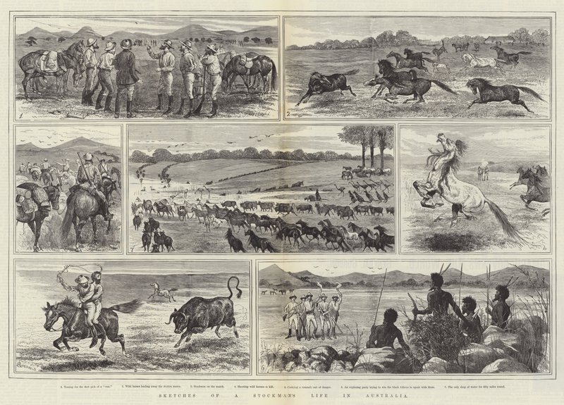 Skizzen aus dem Leben eines Viehzüchters in Australien von Alfred Courbould