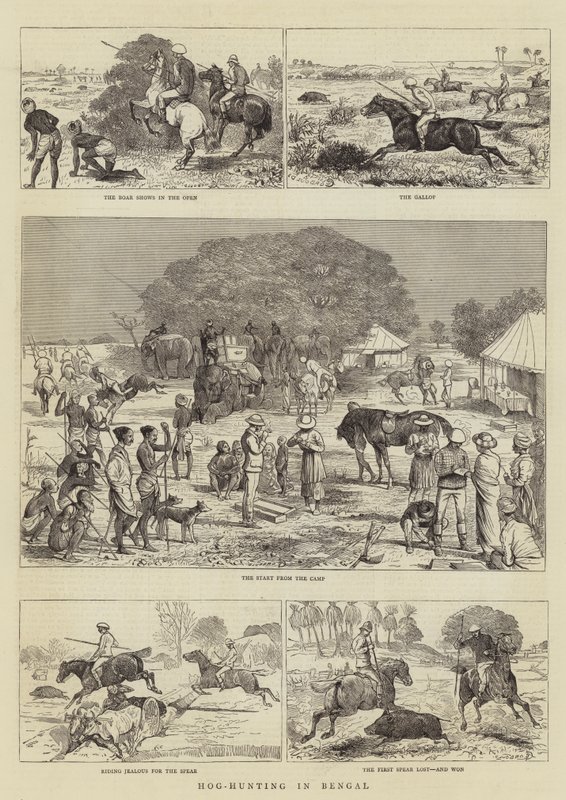 Schweinejagd in Bengalen von Alfred Chantrey Corbould