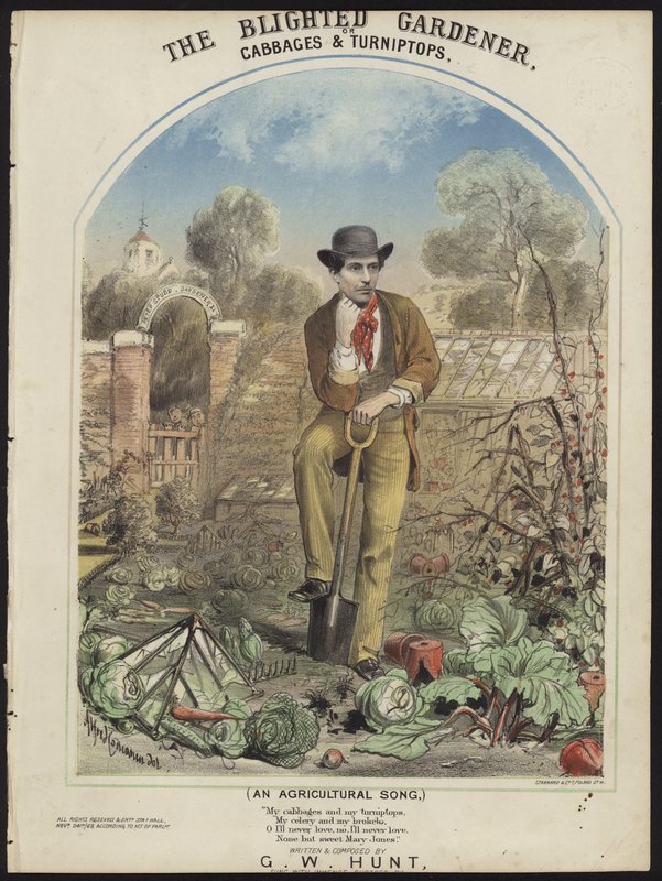 Der verdorbene Gärtner von Alfred Concanen