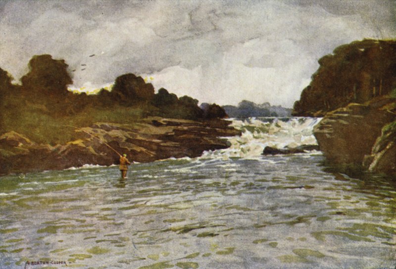 Kathleens Wasserfälle, Ballyshannon von Alfred Heaton Cooper