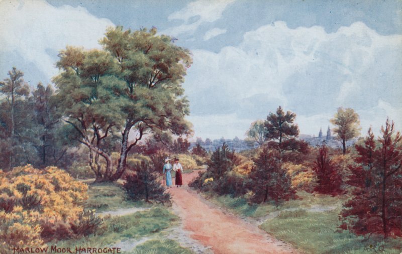 Harlow Moor, Harrogate von Alfred Robert Quinton