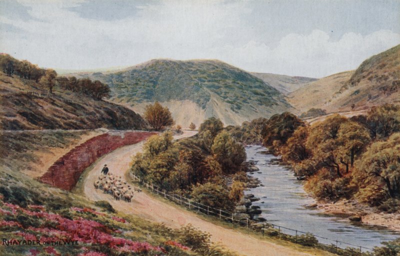 Rhayader am Wye von Alfred Robert Quinton