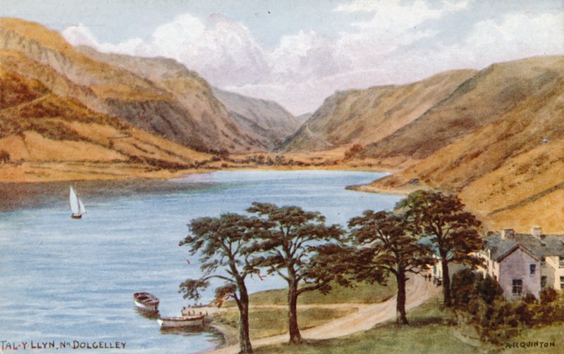 Tal-y-Llyn, bei Dolgelley von Alfred Robert Quinton