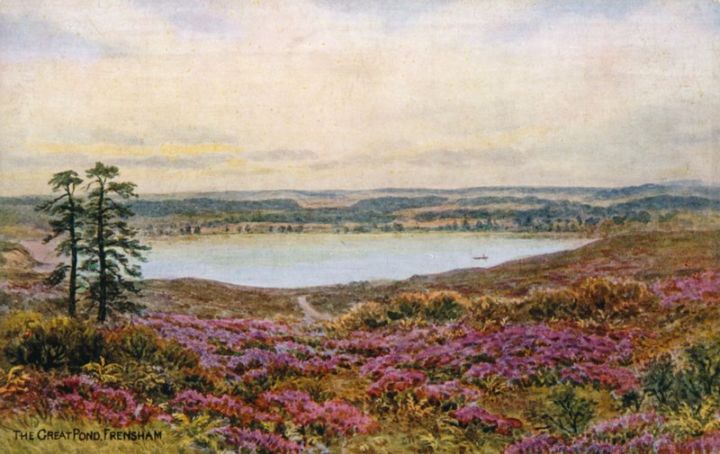 Der Große Teich, Frensham von Alfred Robert Quinton
