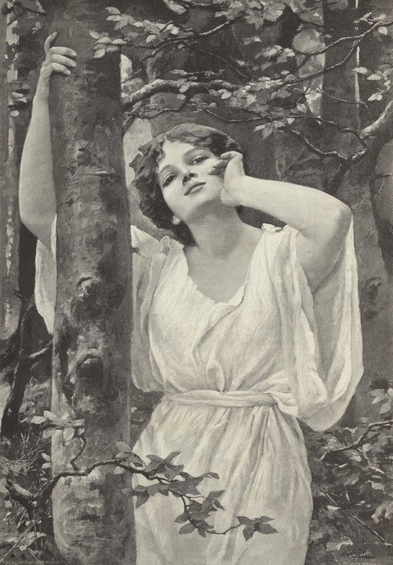 Echo von Alfred Seifert