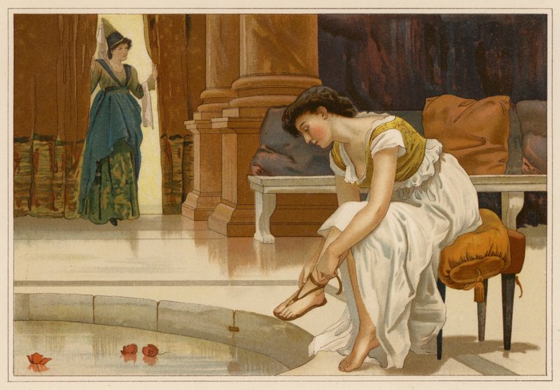 Die weißen Schwäne von Alice Havers
