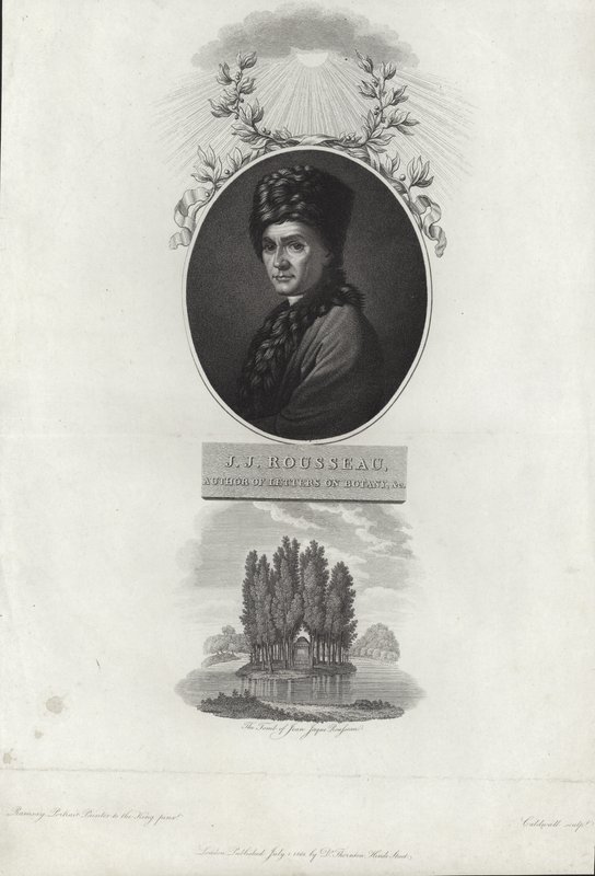 Jean-Jacques Rousseau von Allan Ramsay