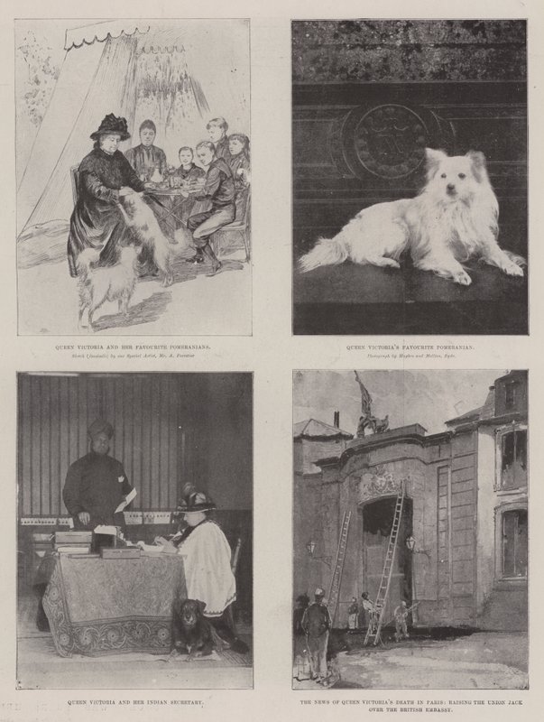 Das Leben von Victoria von Amedee Forestier