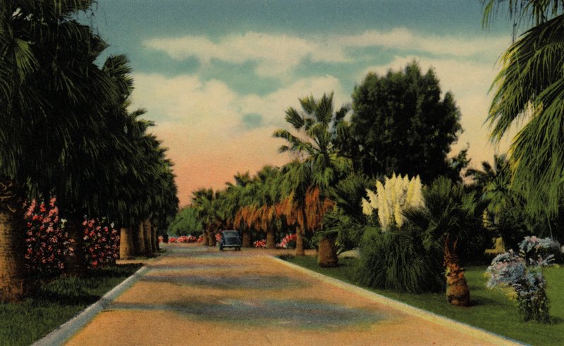 Phoenix, Arizona: Country Club Park von American Photographer (after)