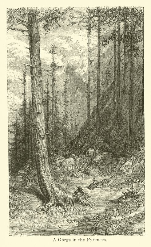 Eine Schlucht in den Pyrenäen von American School