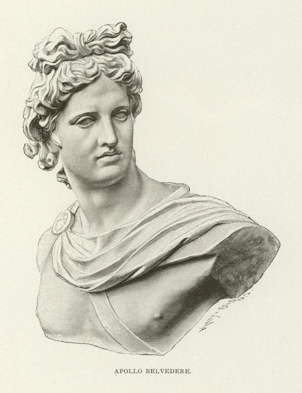 Apollo Belvedere von American School