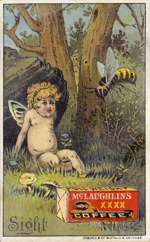 Biene greift Putto an von American School