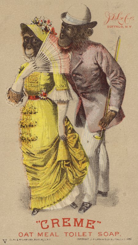 Schimpansen in Kleidung von American School