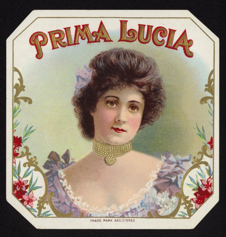 Züchtige Dame von American School