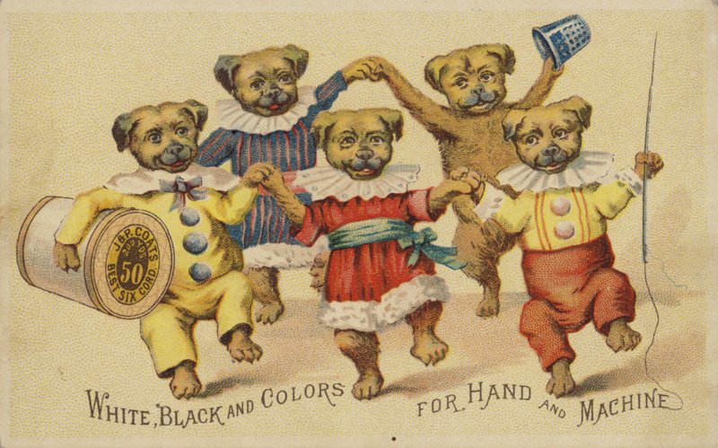 Hund tanzt in Kleidung von American School