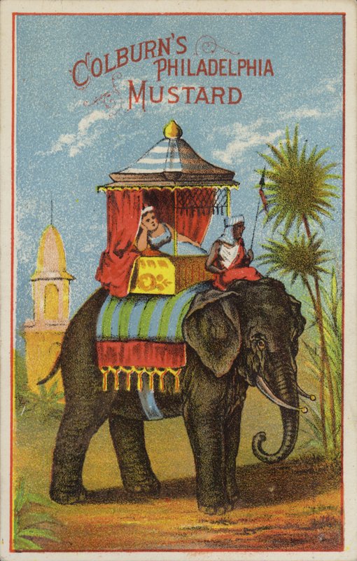 Elefantenritt von American School