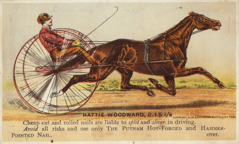 Herr fährt sehr schnell mit Pferd von American School