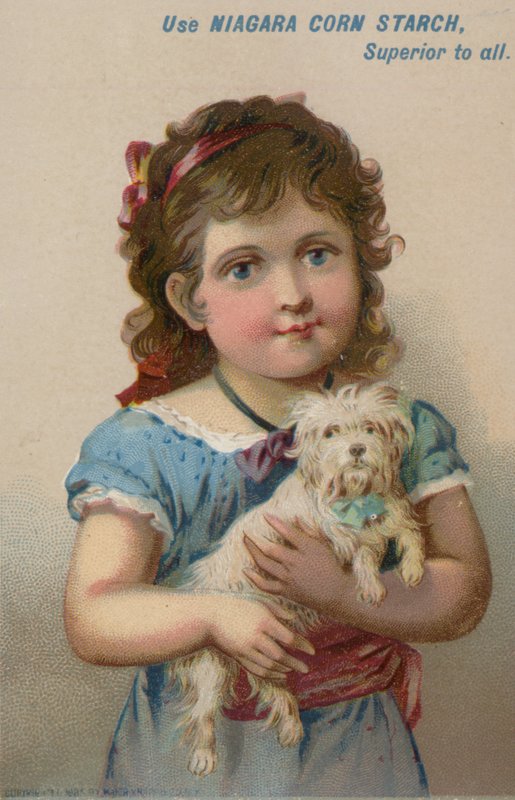 Mädchen hält kleinen Hund in ihren Armen von American School