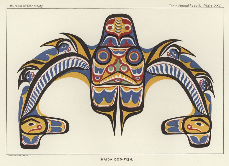Haida-Hundfisch von American School