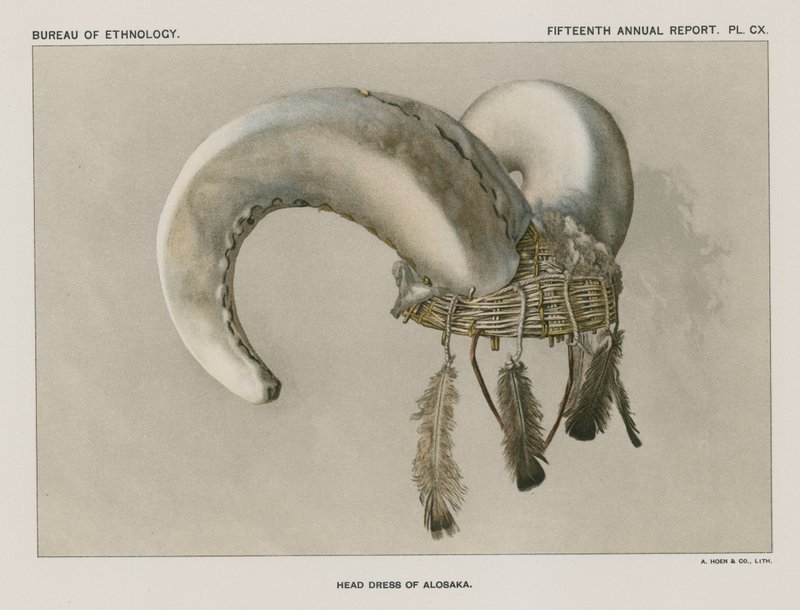 Kopfschmuck von Aloska von American School