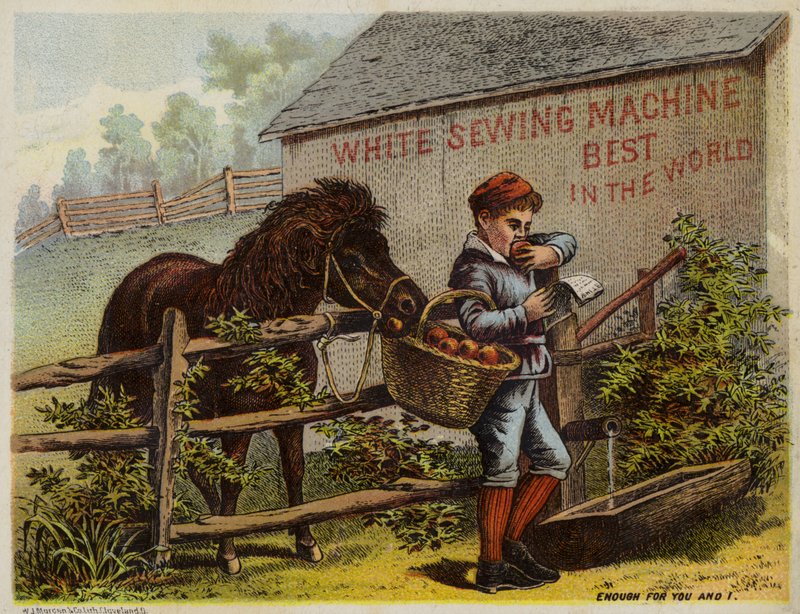 Pferd und Junge essen Äpfel von American School